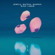 Jewels, WATEVA & MAGNUS - Wish I Knew (Extended Mix)