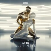 Avi8 - All I Need