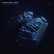 Jason Ross & MitiS - Take You Home (feat. Dia Frampton)