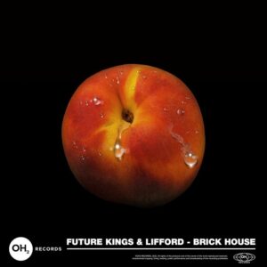 Future Kings & Lifford - Brick House (Extended Mix)