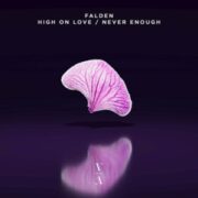 Falden - High On Love / Never Enough