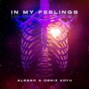 Alesso & Deniz Koyu - In My Feelings