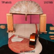 Tom Walker - Serotonin (Alle Farben Remix)