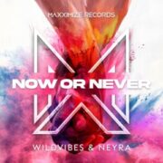 WildVibes & Neyra - Now Or Never (Original Mix)