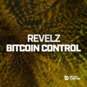 Revelz - Bitcoin Control (Extended Mix)