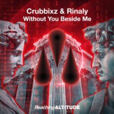 Crubbixz & Rinaly - Without You Beside Me