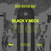 Black V Neck - Tego