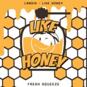 Landis - Like Honey (Extended Mix)