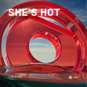 Low Blow - She's Hot (Extended Mix)