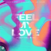 Lucas & Steve x DubVision - Feel My Love (Festival Mix)