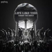 Timmy Trumpet - Life Like This