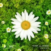 yetep - Daisies (feat. Olmos)