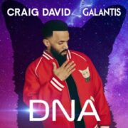 Galantis & Craig David - DNA