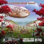 Infected Mushroom & Bliss - A Cookie From Space