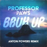 Professor Paws - Bruk Up (Anton Powers Extended Remix)
