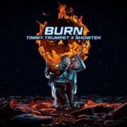 Timmy Trumpet x Showtek - Burn (Original Mix)