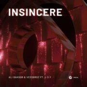 Ali Bakgor & Vessbroz feat. J.O.Y - Insincere (Extended Mix)