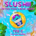 Slushii x Nitro Fun & Bok Nero - Push It (Extended Mix)