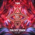 TBR & Aleinad - On My Own (Extended Mix)