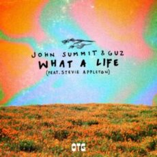 John Summit & Guz - What A Life (Extended Mix)