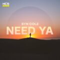 Syn Cole - Need Ya