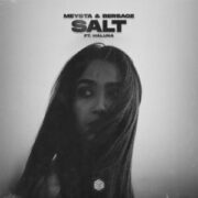 MEYSTA & Bersage feat. HALUNA - Salt (Extended Mix)