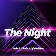 Rob & Chris x DJ Gollum - The Night (Extended Mix)