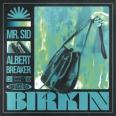 Mr Sid & Albert Breaker - Birkin (Robin Aristo Remix)