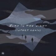 ENiGMA Dubz - Bump in the Night (Infekt Remix)