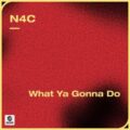 N4C - What Ya Gonna Do (Original Mix)