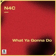 N4C - What Ya Gonna Do (Original Mix)