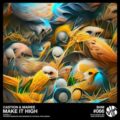 Castion & Mairee - Make It High (Extended Mix)