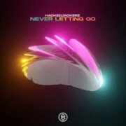 hackeDJackerz - Never Letting Go (Extended Mix)
