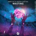 Inpetto feat. Nadia Gattas - Wasting (Extended Mix)