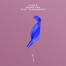 Lane 8 - Grapevine (feat. Elderbrook)