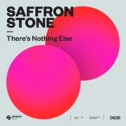 Saffron Stone - There's Nothing Else
