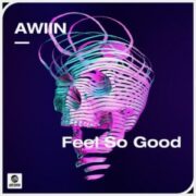 AWIIN - Feel So Good
