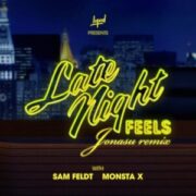 Sam Feldt with Monsta X - Late Night Feels (Jonasu Remix)