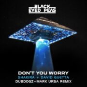 Black Eyed Peas - DON'T YOU WORRY (Dubdogz & Mark Ursa Remix)