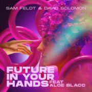 Sam Feldt & David Solomon - Future In Your Hands (feat. Aloe Blacc)