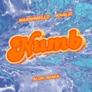 Marshmello & Khalid - Numb (Alok Remix)