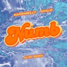 Marshmello & Khalid - Numb (Alok Remix)