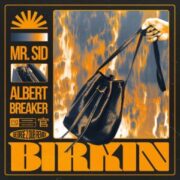 Mr. Sid & Albert Breaker - Birkin (George Z Dub Remix)