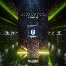 REAPER - DISRUPTOR (Remixes)
