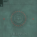 Sylvain Armand & Maxim Lany - Trippin (feat. Davina Malek)