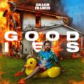 Dillon Francis - Goodies