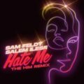 Sam Feldt & salem ilese - Hate Me (The Him Remix)