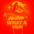 Flo Rida & Skytech - What A Night (Up All Night In Vegas) (Extended Mix)