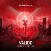 Valido - Never Call You Mine