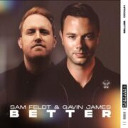 Sam Feldt & Gavin James - Better (Original Mix)